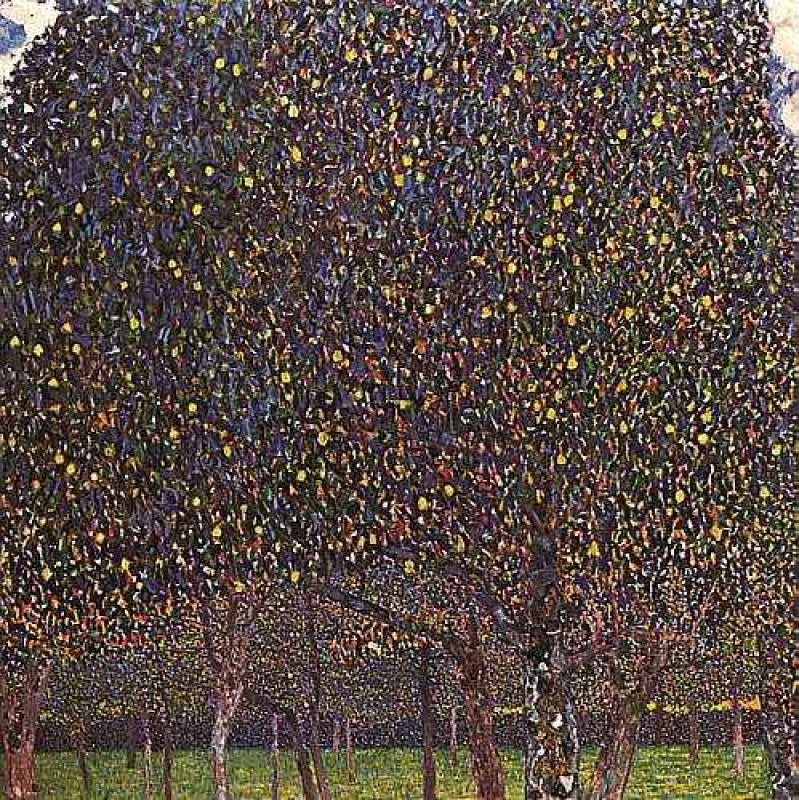 1903_pear tree.jpg